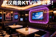 武汉商务KTV哪家好？这份避坑指南请收好，新手必看的挑选秘籍与价格解析