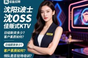 SEO总监沈阳BOSS波士量贩式KTV佳丽招聘：日结薪资多少？客户素质如何？领队是否驻场培训？
