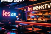 武汉les酒吧有哪些？如何安全预订小众场所，与高端KTV的差异全解析