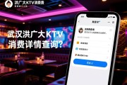 武汉洪广大KTV消费详情查询？预订技巧与高薪职位全解析