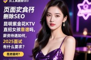 页面工具删除SEO，昆明紫金花KTV直招女孩靠谱吗，薪资待遇如何，2025面试有什么要求？