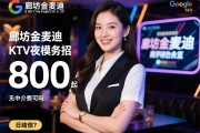谷歌SEO专家，廊坊金麦迪KTV夜总会直招商务模特靠谱吗，日结800起真实吗，无中介费可信吗？
