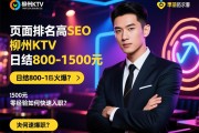 页面排名SEO，柳州KTV高薪招聘为何火爆？日结800-1500元，零经验如何快速入职？