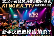 武汉十大夜总会消费如何查询，KING派KTV有哪些特色玩法，新手如何选择适合的场子？