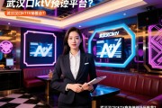 武汉汉口ktv预订平台哪个好，武汉汉口ktv商务接待场所推荐？