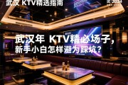 武汉高端商务KTV精选指南，2024年如何预订心仪场子，新手小白怎样避免踩坑？