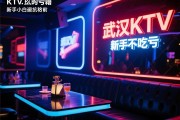 武汉KTV该怎么预订才不吃亏，哪家夜总会排名靠前，新手小白的避坑秘籍全公开