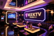 武汉商务KTV如何选择？预订攻略与排名解析，高端场性价比之选