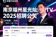 页面方法SEO，南京福州星光灿烂KTV2025招聘公关任职要求是什么，薪资待遇如何，工作内容有哪些？